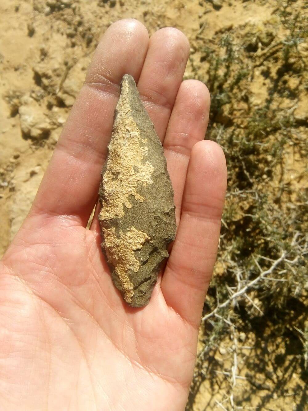 Middle Stone Age hornfels point from Lovedale, Modder River, dated to                                                ~70,000 years ag