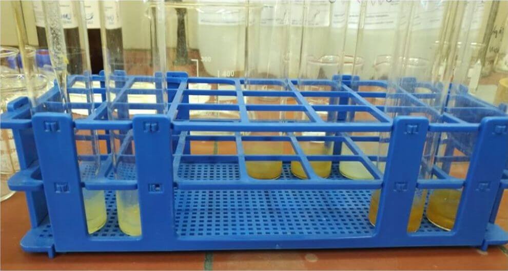 Extraction of plants lipids (credit: Michaela Ecker) Extraction of plants lipids (credit: Michaela Ecker)